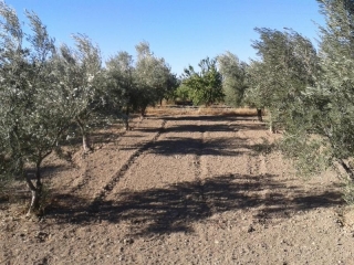 Immobilier à Almeria