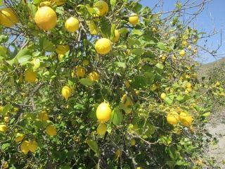 Propiedad en Almeria